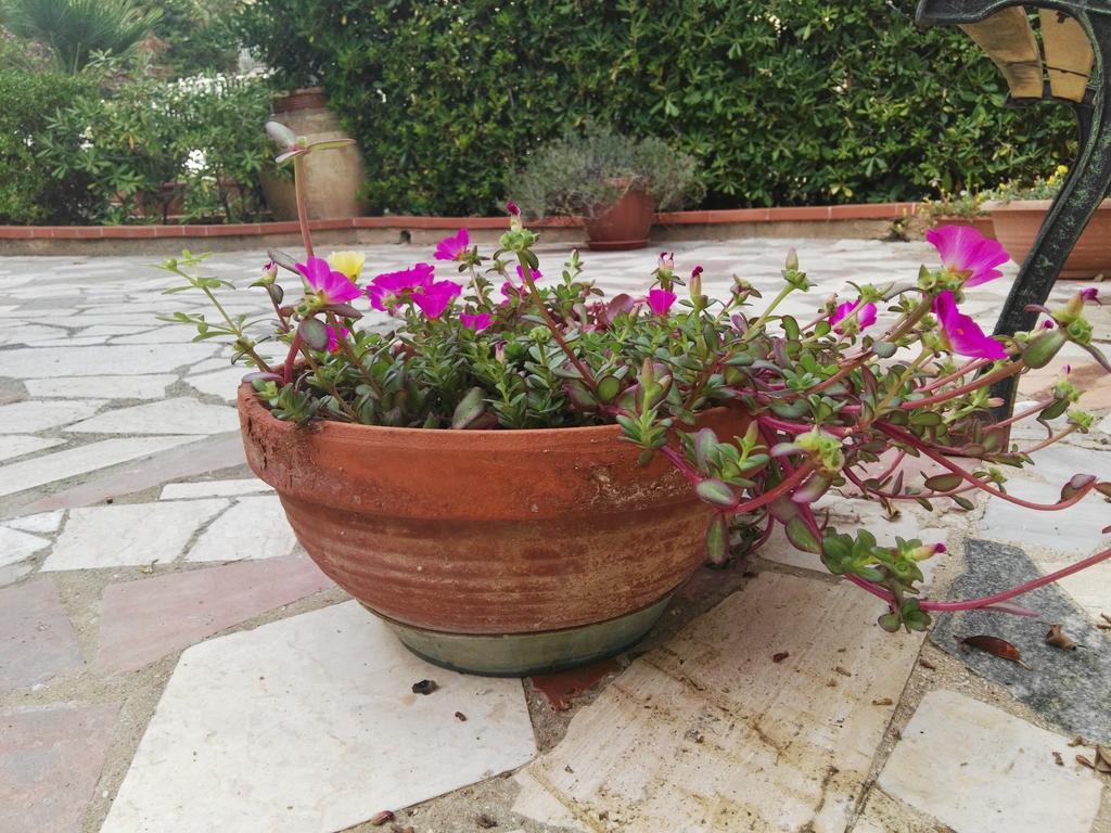 Villalba Castellammare del Golfo Buitenkant foto